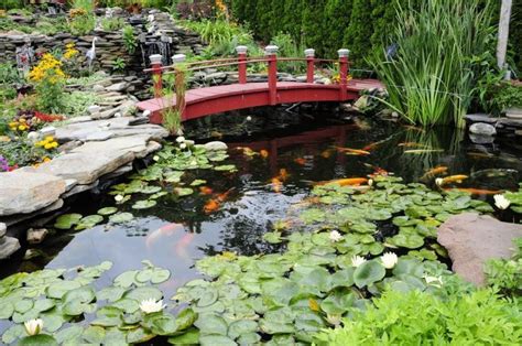 Pioneer Valley Water Garden and Koi Club's 25th annual Pond Tour ...