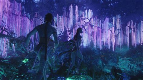 Download Pandora Forest Avatar Film Wallpaper | Wallpapers.com