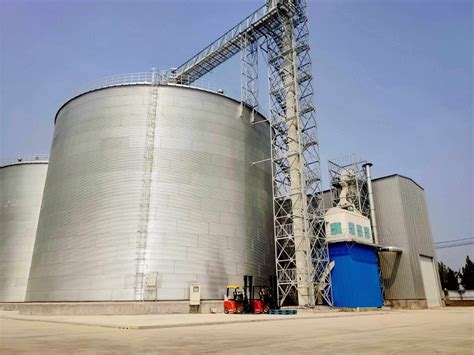 Turnkey 300tpd Untoasted Soybean Meal Production Line - China Low Temperature Soybean Meal ...