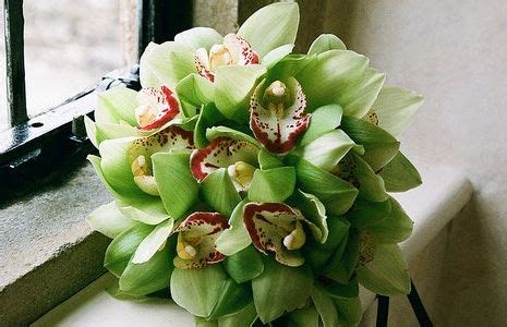 A green orchid bouquet #wedding #flowers | Wedding flower design, Wedding bouquets, Orchids ...