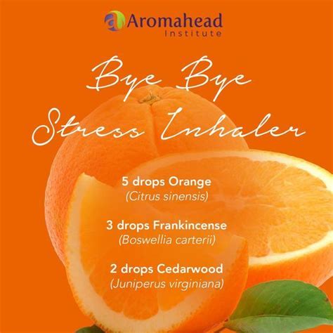 Have you ever wondered why Orange is great for stress relief? Aromahead's “Orange … | Essential ...