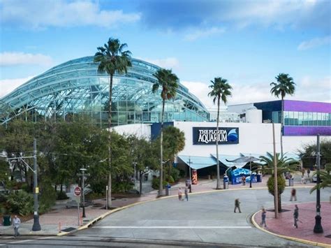 Florida Aquarium Celebrates 25th Anniversary With Expansion | Tampa, FL ...