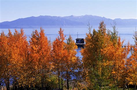 The Best Places to See Fall Foliage in Lake Tahoe