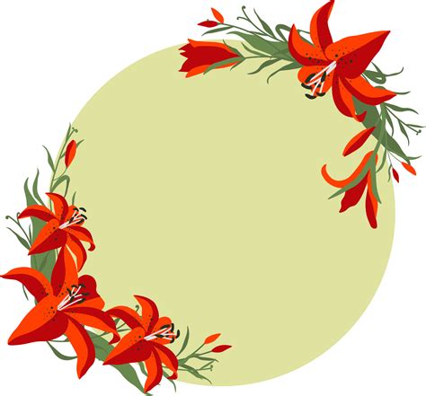 Lily border flower floral clipart 20264157 Vector Art at Vecteezy