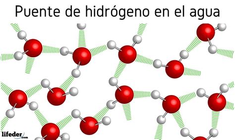 Enlace por puente de hidrógeno: características, ejemplos