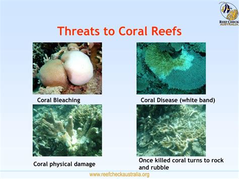 PPT - Threats and Dangers to Coral Reefs Reef IQ PowerPoint ...