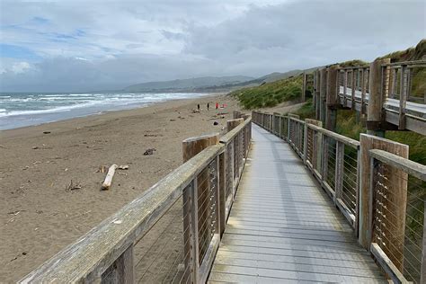 Bodega Dunes Beach And Campground In Sonoma Coast State Park