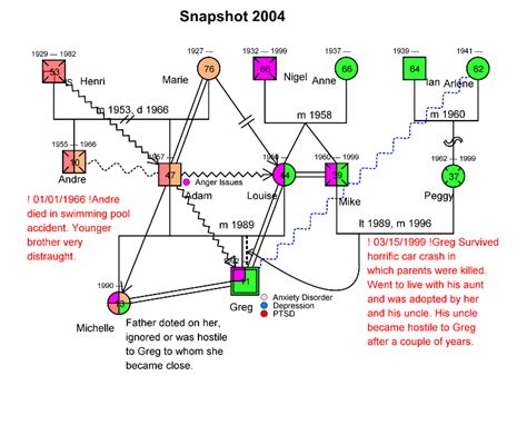 Genogram Timeline Snapshots - Genogram Analytics | Genogram example ...