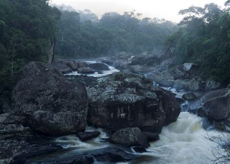 Ranomafana National Park, Madagascar | Audley Travel