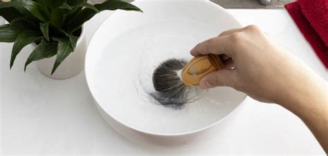 Shaving Brush Care - Dovo Online