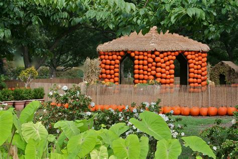 Garden Bytes from the Big Apple: THE GREAT PUMPKIN