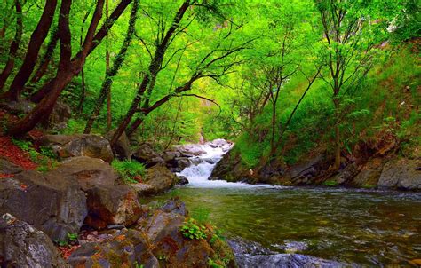 Wallpaper Nature, Spring, Forest, Nature, River, Spring, River, Forest ...