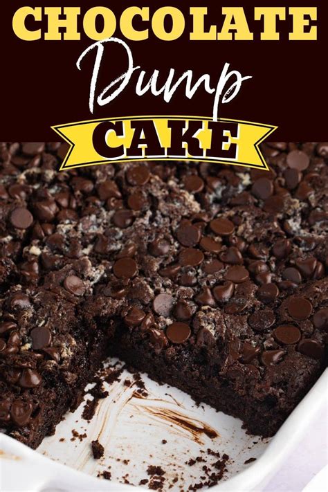 Easy Chocolate Dump Cake Recipe - Insanely Good