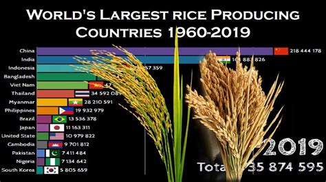 World's Largest Rice Producing Countries 1960-2019 | Top 15 Rice ...