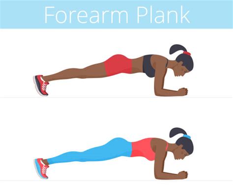 Best Plank Position Illustrations, Royalty-Free Vector Graphics & Clip Art - iStock