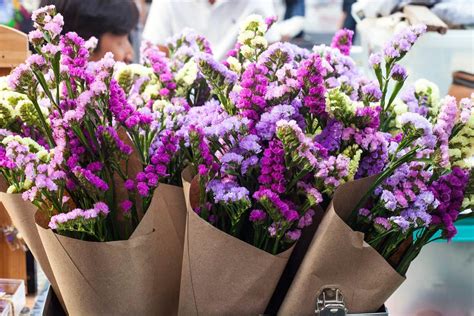 15 Plants to Grow for Dried Flowers & How To Dry Them