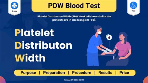 PDW Blood Test: Normal Range and High Range Explained - Drlogy