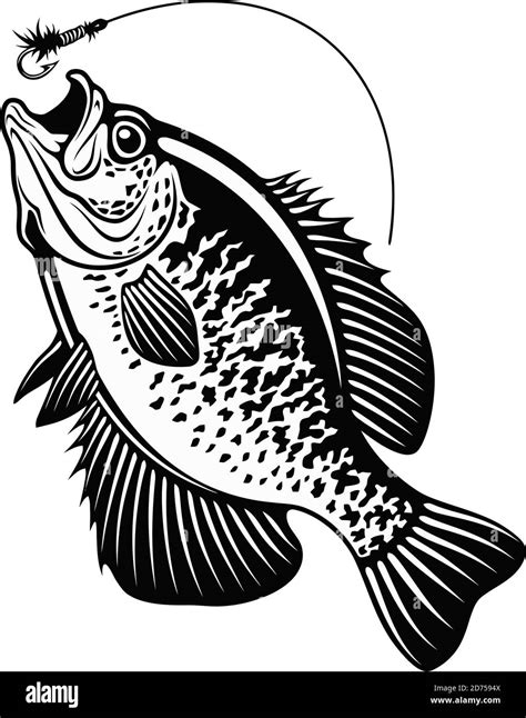 Crappie Fish Silhouette