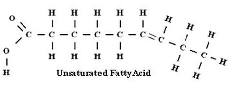 Unsaturated Fats - Lipids