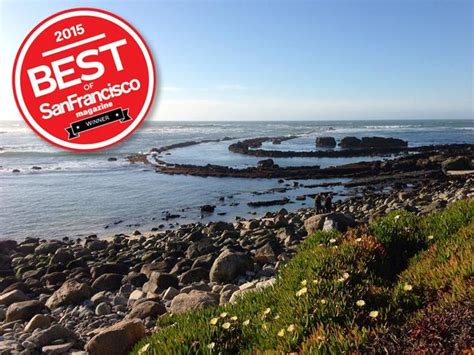 Fitzgerald Marine Reserve |Moss Beach Tide Pools Parks Department ...