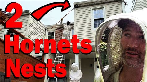 2 Bald Faced Hornets Nests on the same House | Wasp Nest Removal - YouTube