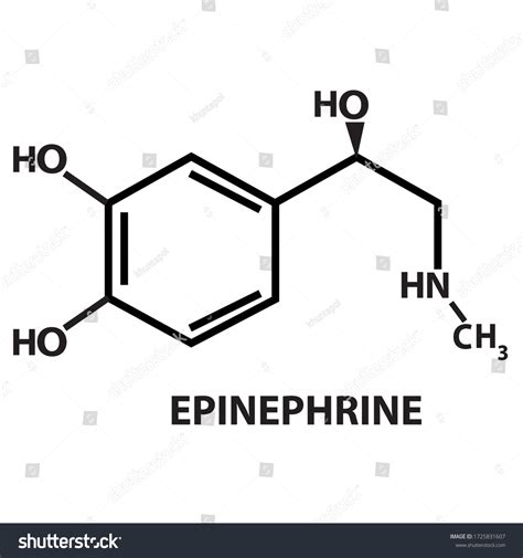 Vector Epinephrine Chemical Structure Stock Vector (Royalty Free) 1725831607 | Shutterstock