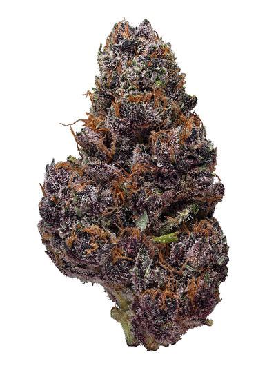 Buy Black Dahlia Cannabis Strain at a Dispensary Near You