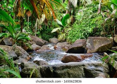 327 Seychelles Waterfalls Images, Stock Photos & Vectors | Shutterstock