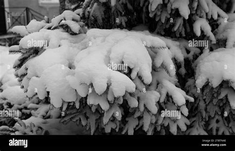 Snowy day window Black and White Stock Photos & Images - Alamy
