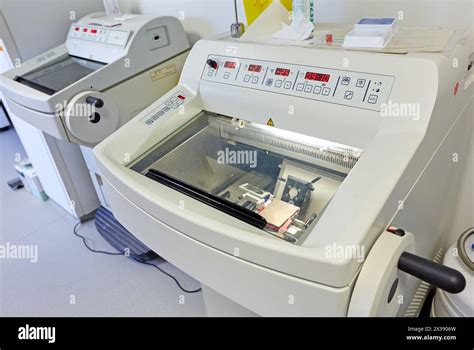 Clinical histopathology laboratory hi-res stock photography and images - Alamy