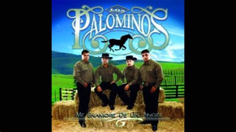 Los Palominos | Cartas Marcadas - YouTube Latin Music, Music Songs, Paloma, Tejano Music, Summer ...