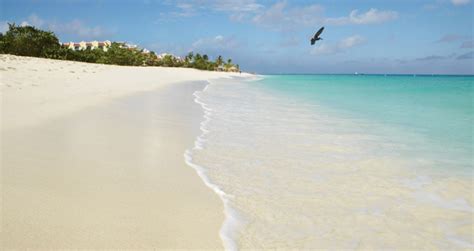 Aruba Travel: 5 Reasons I Want to Visit This Happy Island