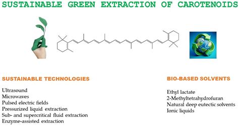 Antioxidants | Free Full-Text | Sustainable Green Extraction of ...