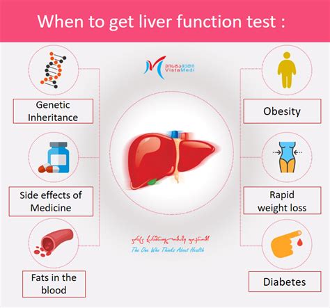 A liver panel – Vistamedi