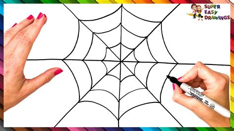 Spider Web With Spider Drawing