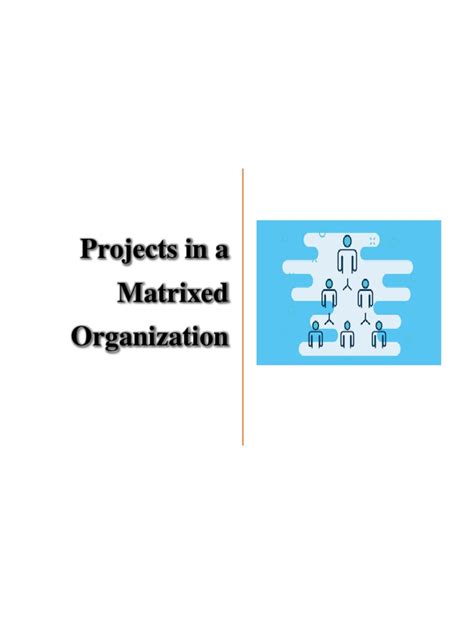 Project in A Matrixed Organization | Download Free PDF | Organizational ...