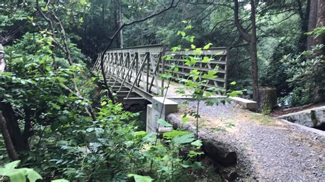 Trails – Cloudland Canyon State Park