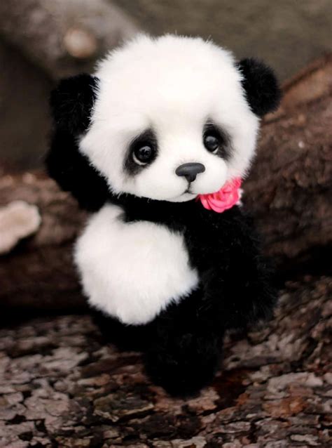 Wallpaper Of Cute Baby Panda - Infoupdate.org