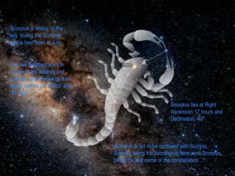 PPT - Scorpius PowerPoint Presentation, free download - ID:1860030