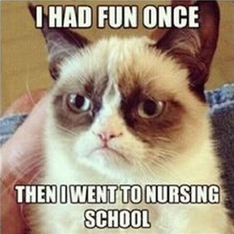 101 Nursing Memes That Are Funny and Relatable To Any Nurse | Funny ...