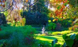 Katikati Bird Gardens Cottage in Katikati, Bay of Islands, New Zealand ...