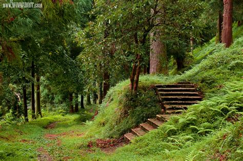 Batumi Botanical Garden :) by Huseyn Mammadoff - Photo 13854749 / 500px