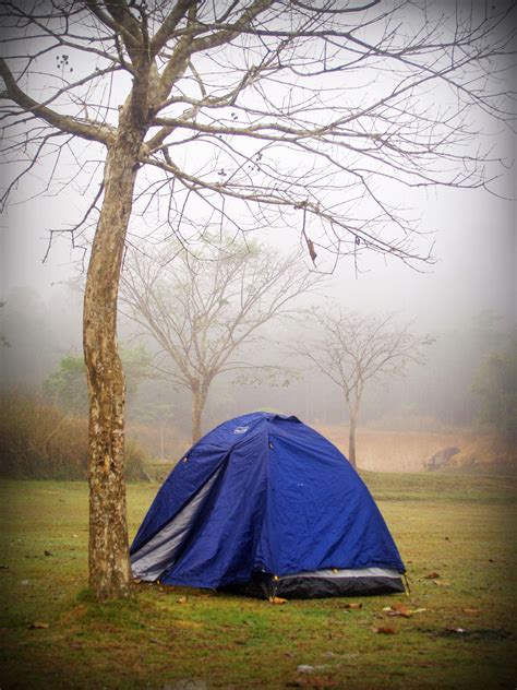 Tent Camping Stock Photos Khaoyai Nation Free Stock Photo - Public Domain Pictures