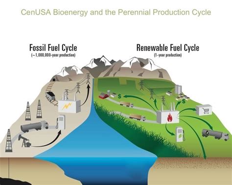 Pin by CenUSA Bioenergy on Bioenergy Pictures & Infographics | Research projects, Infographic ...