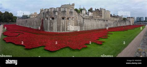 Tower Of London Poppy Display 2014 Stock Photo - Alamy