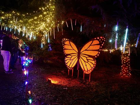 Silverton Christmas Market lights up the Oregon Garden Resort – Here is ...