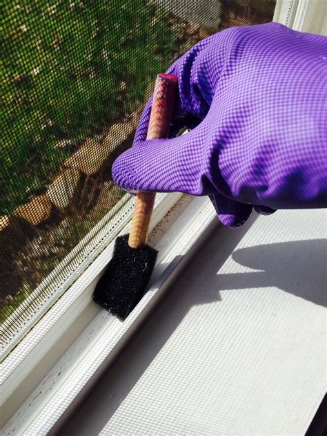 16 Window Cleaning Tips for the Cleanest Windows EVER