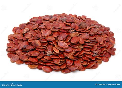 Red Melon Seeds Stock Images - Image: 1889054