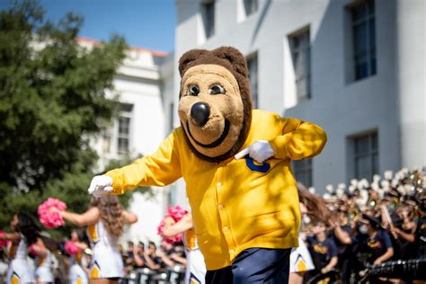 Happy NationalMascotDay to our favorite Golden Bear! 🐻