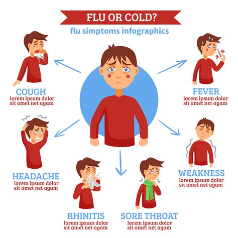 Flu Symptoms 2024 Australian Population - Eran Merrili